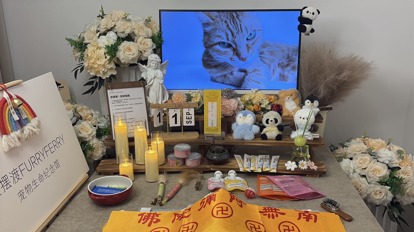 还能为它做的几件事