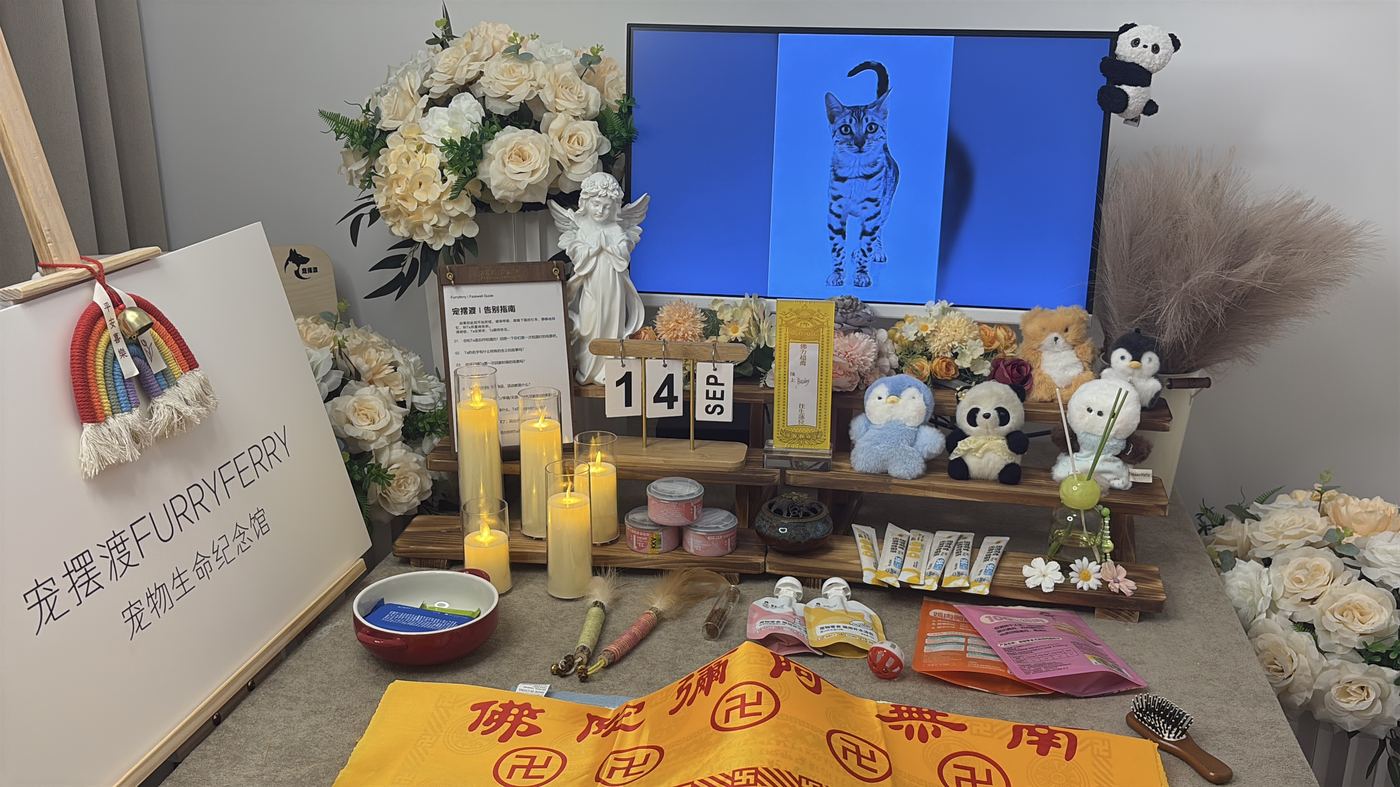 一、完整办理流程：六个步骤
