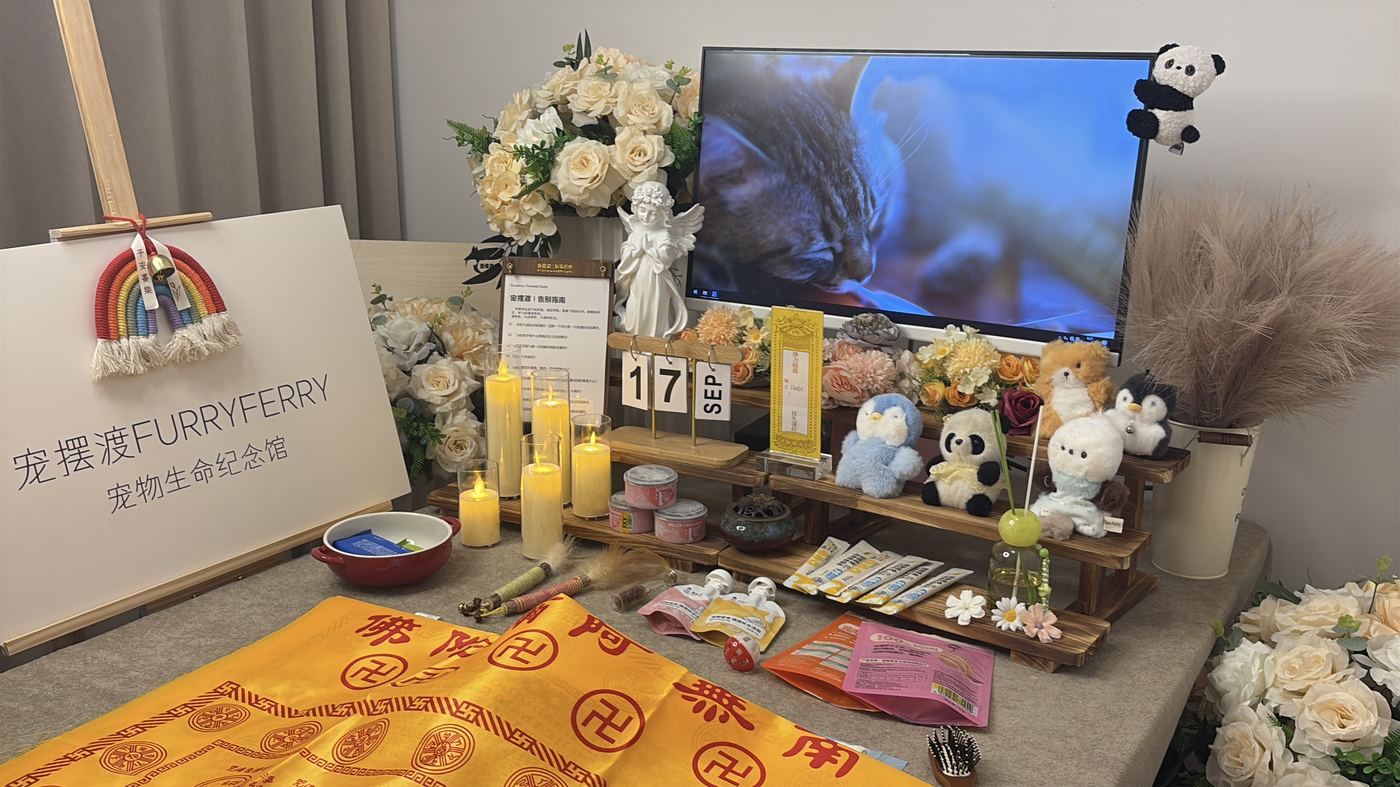 肇庆宠物告别厅布置：如何给端州家属一个体面的告别