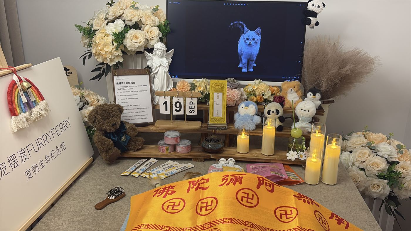 如何面对宠物离世的悲伤？写给肇庆养宠人的心理支持