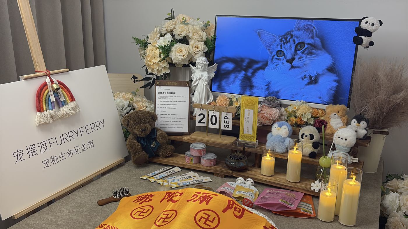 骨灰安置怎么选？肇庆常见的五种安葬方式对比