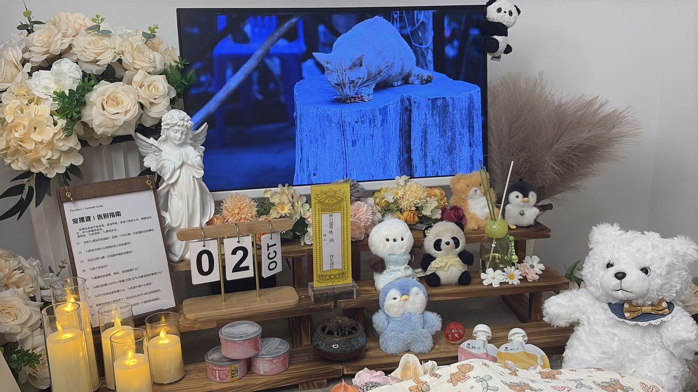 节日期间宠物殡葬服务安排：肇庆春节与清明假期指南