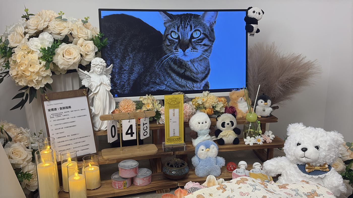 肇庆宠物告别厅