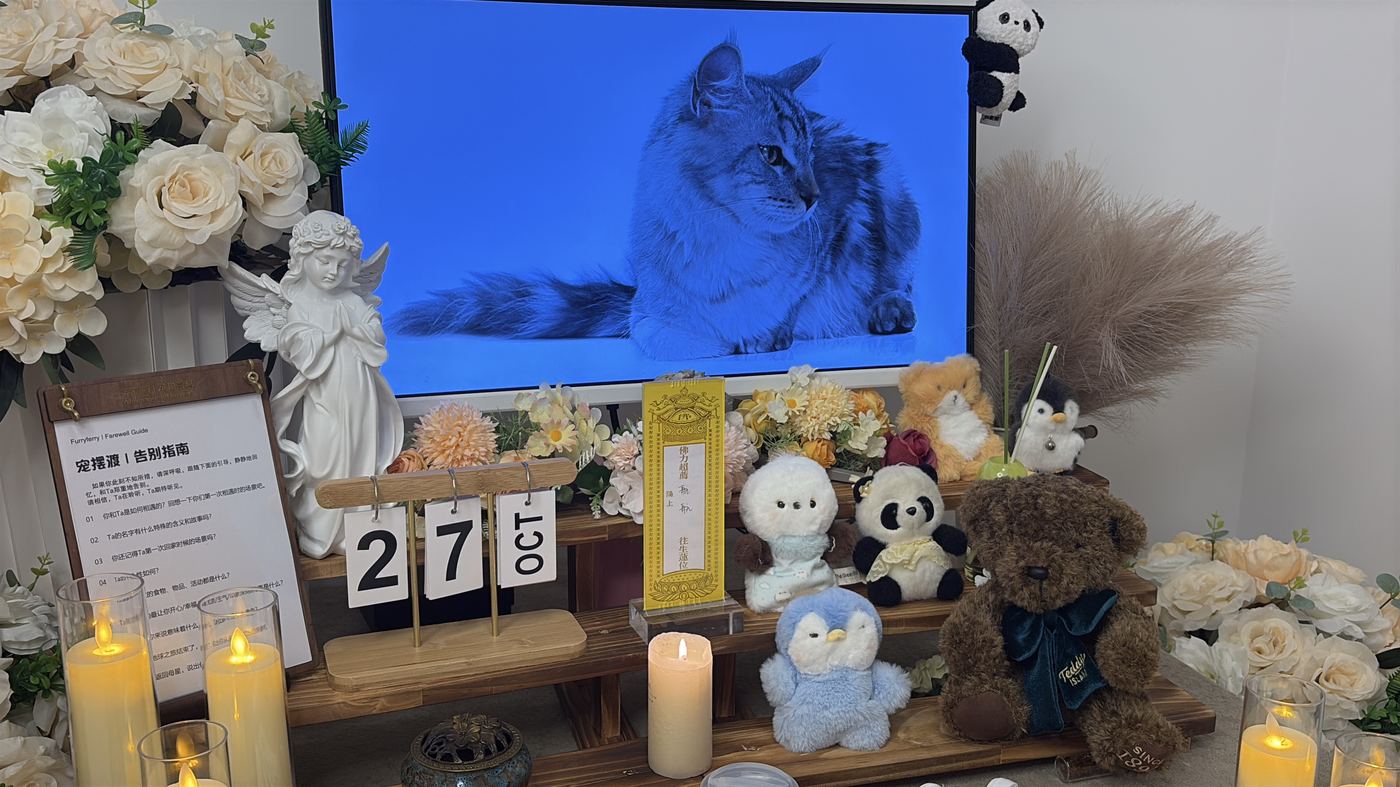 离开不是终点：肇庆家庭的宠物生命教育